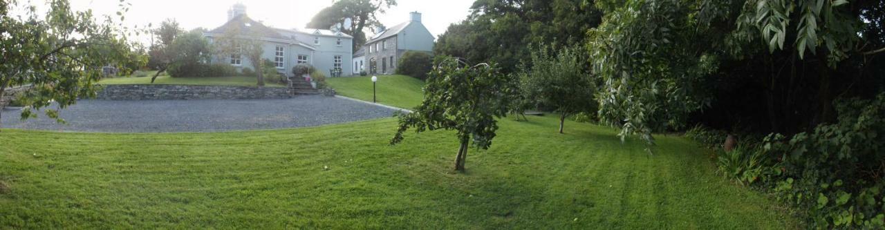 Sunnyside-Cottage Ennistimon Buitenkant foto